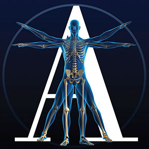 Chiropractor in Arlington Heights