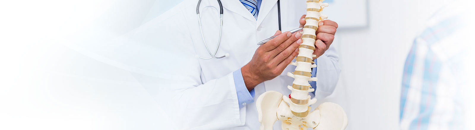 Chiropractor in Arlington Heights and Lake Zurich