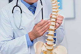 Chiropractor Consulting, Chiropractic office