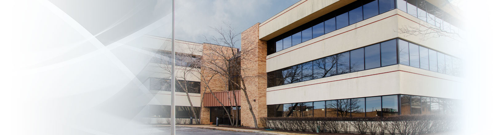 terms-and-conditions